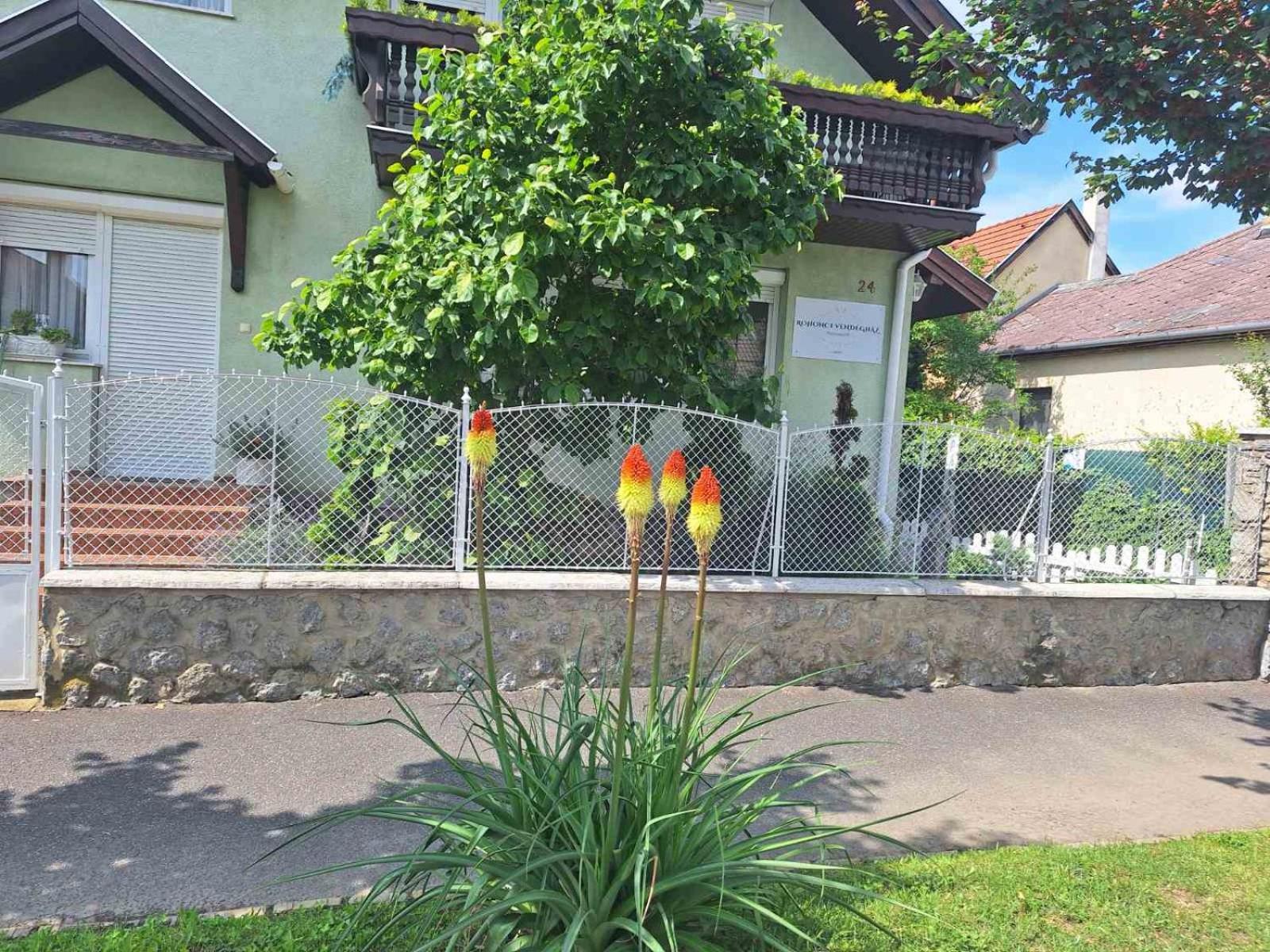 Rohonci Vendeghaz Hotel Kőszeg Eksteriør billede